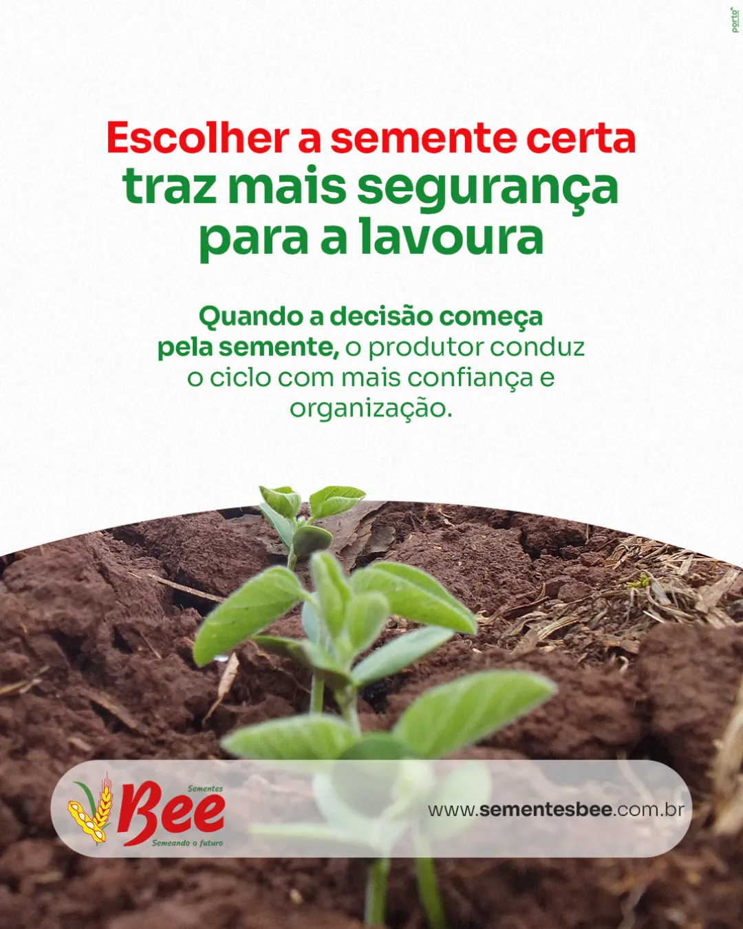 ESCOLHER A SEMENTE CERTA TRAZ MAIS SEGURANÇA PARA A LAVOURA